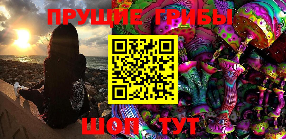 Галлюциногенные грибы MAGIC MUSHROOMS  Вход с VPN  Дмитров 