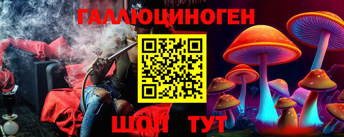 Псилоцибиновые грибы GOLDEN TEACHER Дмитров